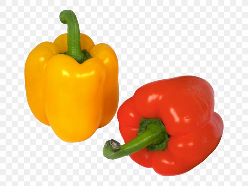 Green Bell Pepper Chili Con Carne Chili Pepper Yellow Bell Pepper, PNG, 866x650px, Bell Pepper, Bell Peppers And Chili Peppers, Black Pepper, Capsicum, Cayenne Pepper Download Free