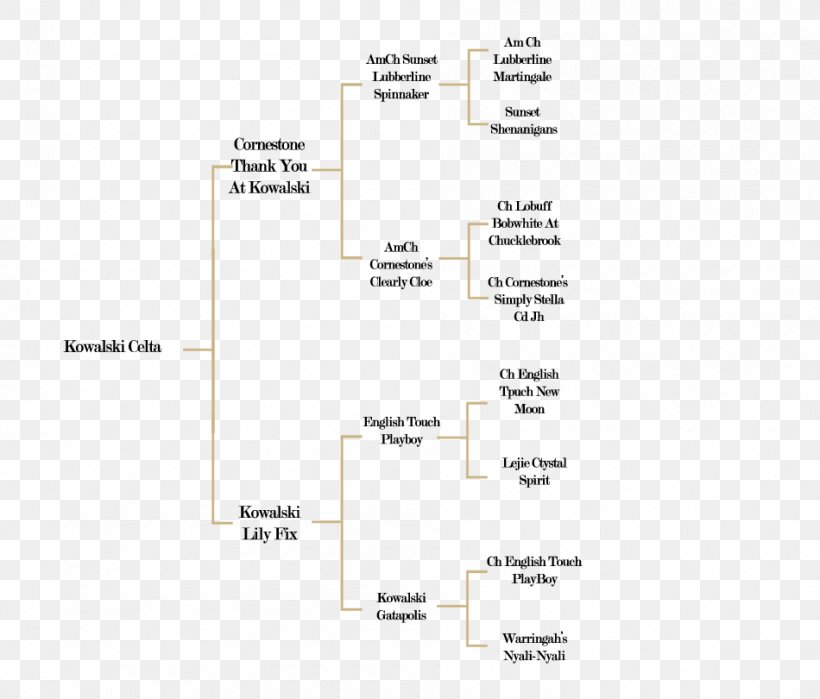 Line Angle Diagram, PNG, 950x810px, Diagram, Area, Text Download Free