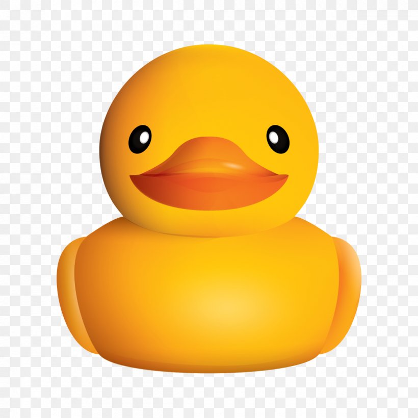 Duck Beak, PNG, 1200x1200px, Duck, Beak, Bird, Ducks Geese And Swans, Orange Download Free