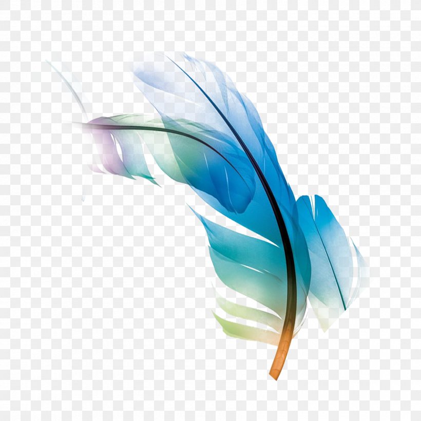 Feather Powder Blue, PNG, 1800x1800px, Feather, Aqua, Blue, Designer, Logo Download Free