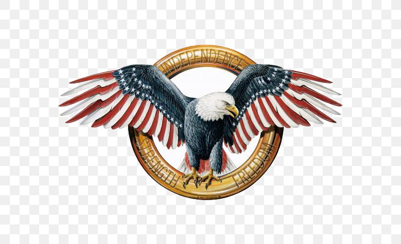 Bald Eagle American Eagle Outfitters T-shirt, PNG, 585x500px, Eagle, American Eagle Outfitters, American Silver Eagle, Bald Eagle, Beak Download Free