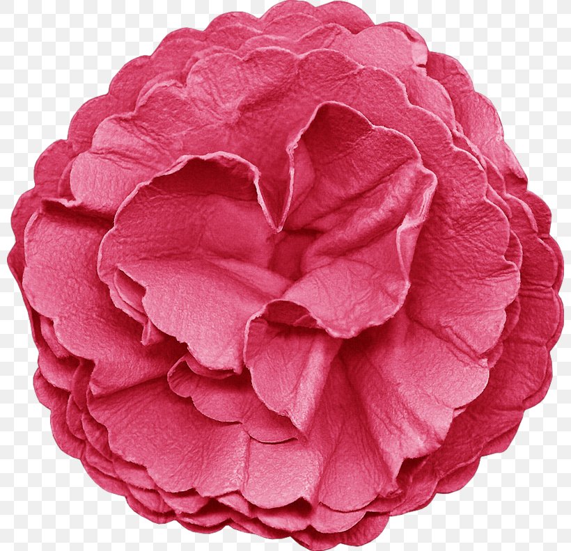 Digital Scrapbooking Collage Garden Roses, PNG, 800x792px, Scrapbooking, Art, Button, Cabbage Rose, Collage Download Free
