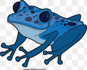 Australian Green Tree Frog Clip Art, PNG, 5320x5576px, Frog, American ...