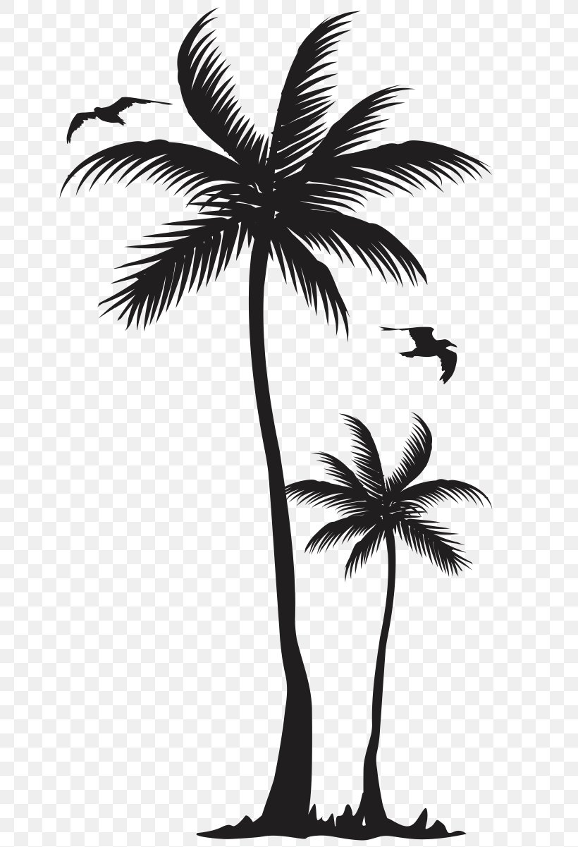 T-shirt Arecaceae Coconut Tree Clothing, PNG, 699x1201px, Tshirt, Arecaceae, Arecales, Black And White, Borassus Flabellifer Download Free