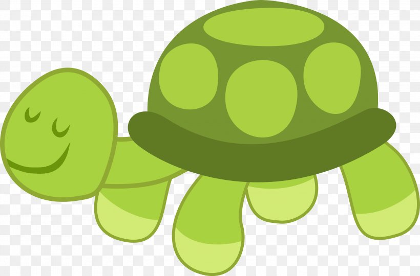 Turtle Reptile Pony Clip Art, PNG, 3000x1976px, Turtle, Animal, Animation, Baby Cakes, Food Download Free