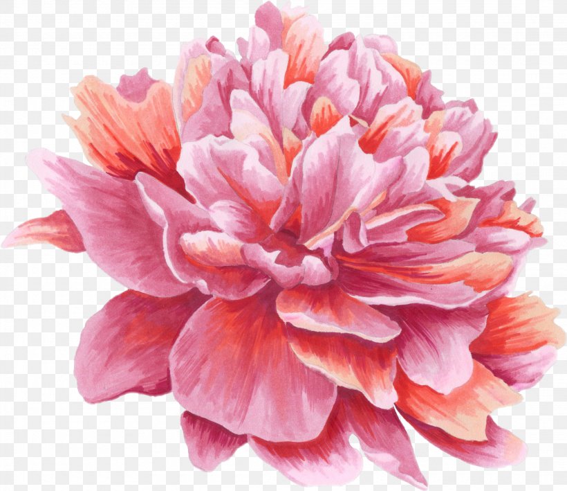 Image Flower Peony JPEG, PNG, 2200x1904px, Flower, Art, Chinese Peony, Chrysanths, Cut Flowers Download Free