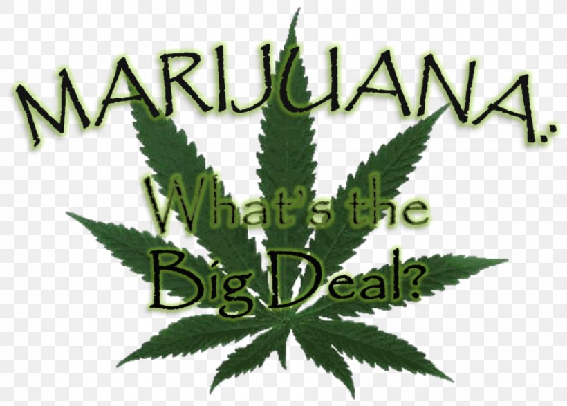 Medical Cannabis Cannabis Smoking Joint Cannabis Shop, PNG, 900x645px, Cannabis, Cannabis Sativa, Cannabis Shop, Cannabis Smoking, Drug Download Free
