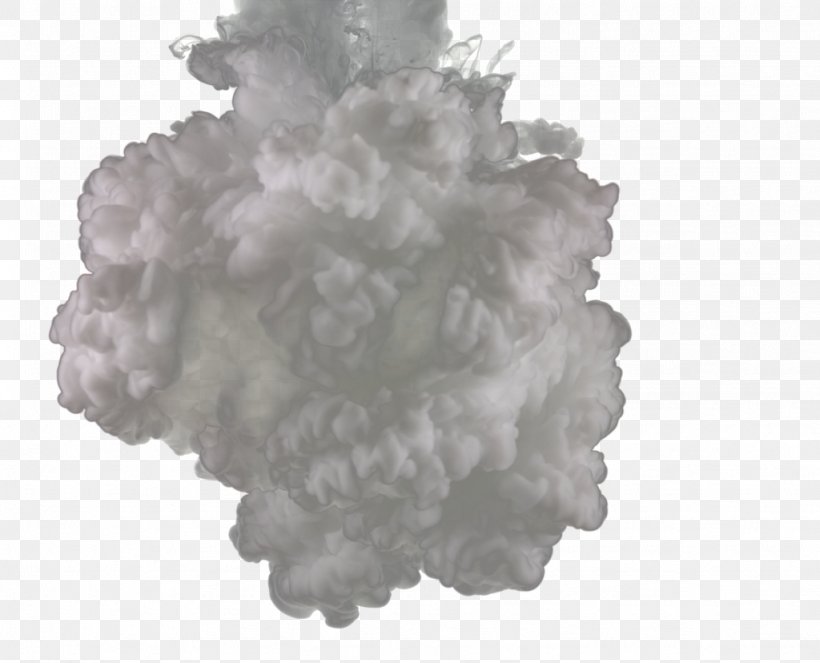Mushroom Cloud Haze White, PNG, 1024x828px, Watercolor, Cartoon, Flower, Frame, Heart Download Free