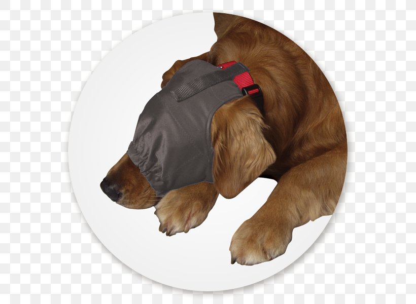 Separation Anxiety In Dogs Thunderworks Calming Cap Amazon.com Pet, PNG, 600x600px, Dog, Amazoncom, Anxiety, Carnivoran, Collar Download Free