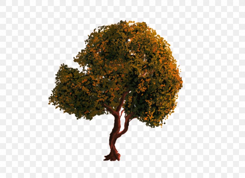 Tree PhotoScape Clip Art, PNG, 1280x932px, Tree, Computer Software, Drawing, Fir, Gimp Download Free