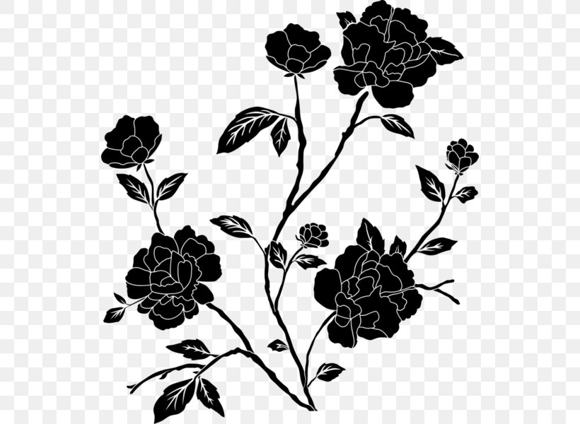 Black And White Flower, PNG, 534x600px, Black Rose, Black, Blackandwhite, Branch, Drawing Download Free