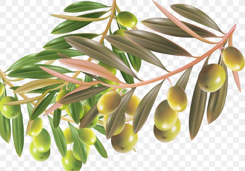 Contessa Entellina Material Manufacturing Olive, PNG, 1000x700px, Material, Borste, Branch, Building Material, Burr Download Free