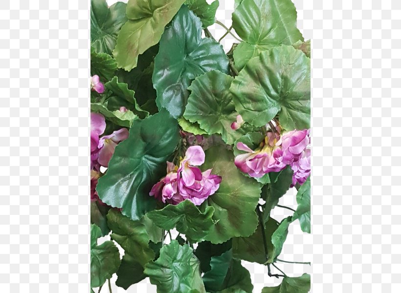 Flower Bouquet Floral Design Cut Flowers Lilac, PNG, 800x600px, Flower, Annual Plant, Cut Flowers, Floral Design, Floristry Download Free