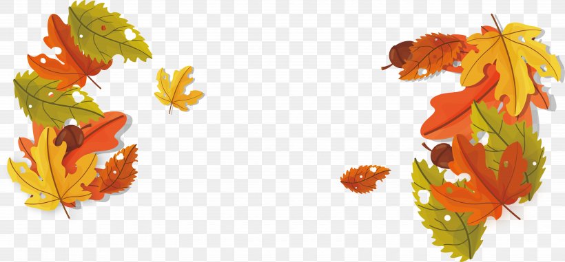 Maple Leaf Euclidean Vector, PNG, 5157x2400px, Maple Leaf, Autumn ...