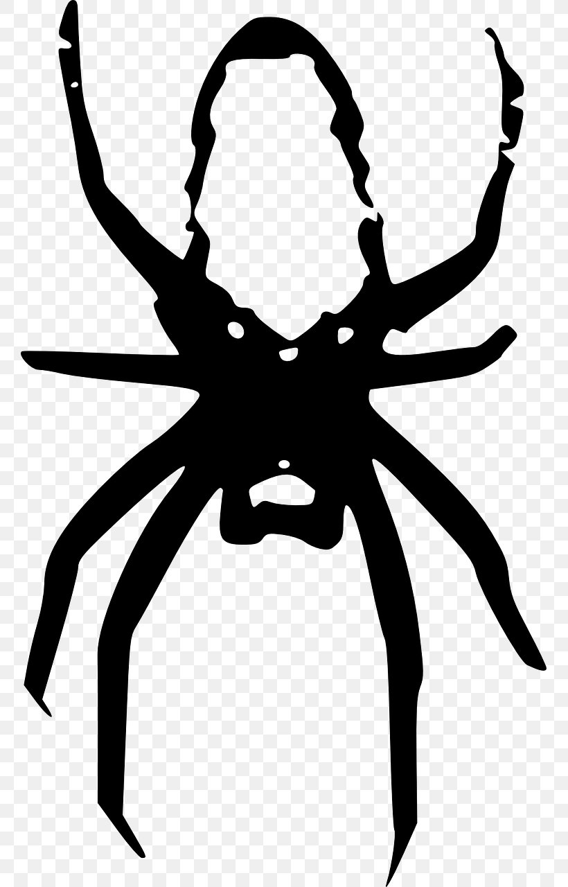 Spider Black And White Clip Art, PNG, 759x1280px, Spider, Arachnid, Artwork, Black And White, Fictional Character Download Free