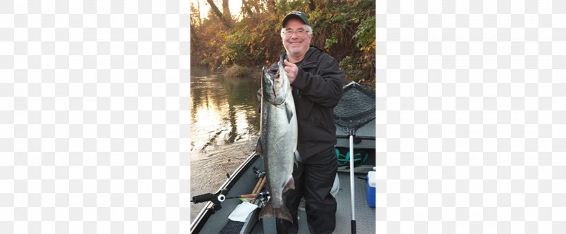 Trask River Wilson River Nestucca River Willamette River Jeans, PNG, 2080x862px, Trask River, Alanine Transaminase, Chinook Salmon, Clothes Hanger, Clothing Download Free