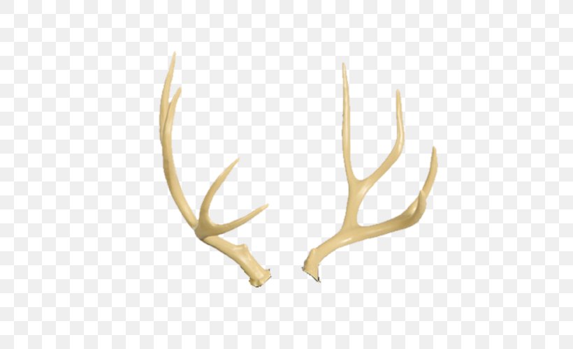 White-tailed Deer Antler Moose Elk, PNG, 500x500px, Deer, Animal, Antler, Cougar, Elk Download Free