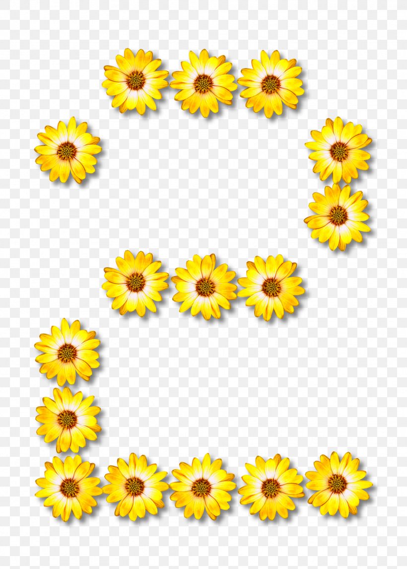Common Sunflower Clip Art, PNG, 1717x2400px, Common Sunflower, Alphabet, Chrysanths, Cut Flowers, Daisy Family Download Free