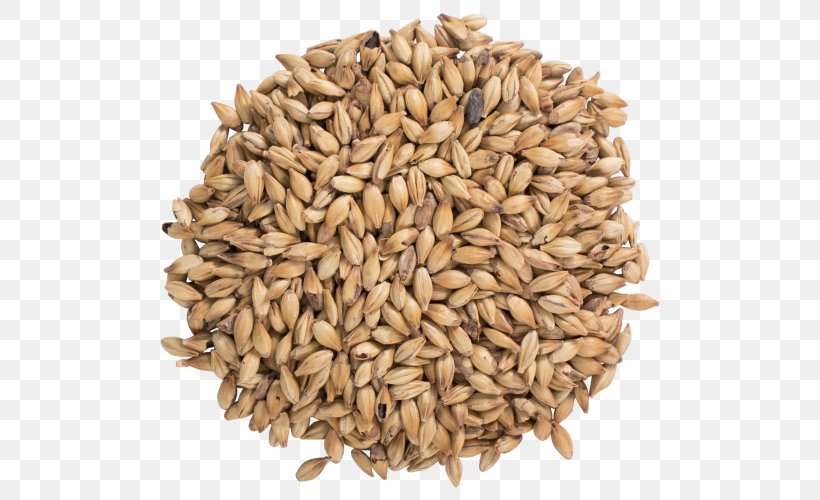 Oat Beer Cereal Malt Spelt, PNG, 500x500px, Oat, Avena, Beer, Cereal, Cereal Germ Download Free