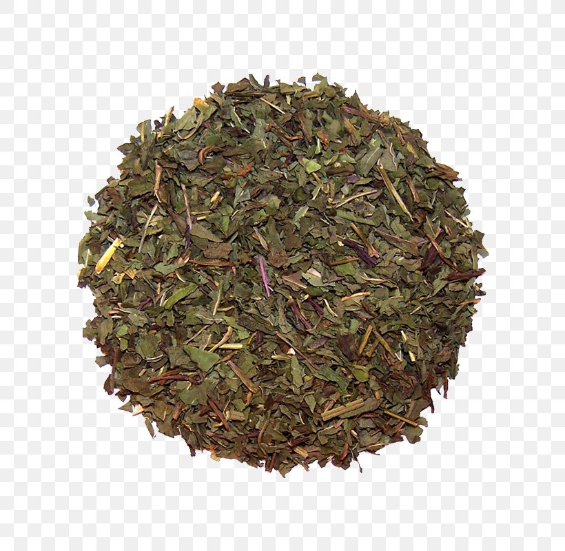 Spice Za'atar Herb Celery Bobkový List Mletý, PNG, 800x800px, Spice, Assam Tea, Bancha, Bay Leaf, Celery Download Free