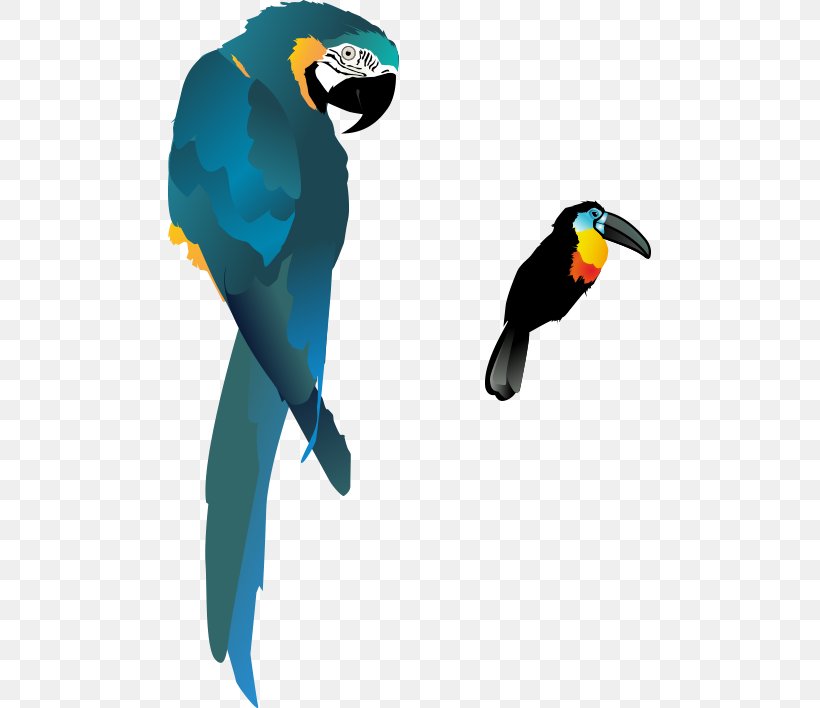 Bird True Parrot Macaw, PNG, 658x708px, Bird, Animation, Beak, Cartoon, Drawing Download Free