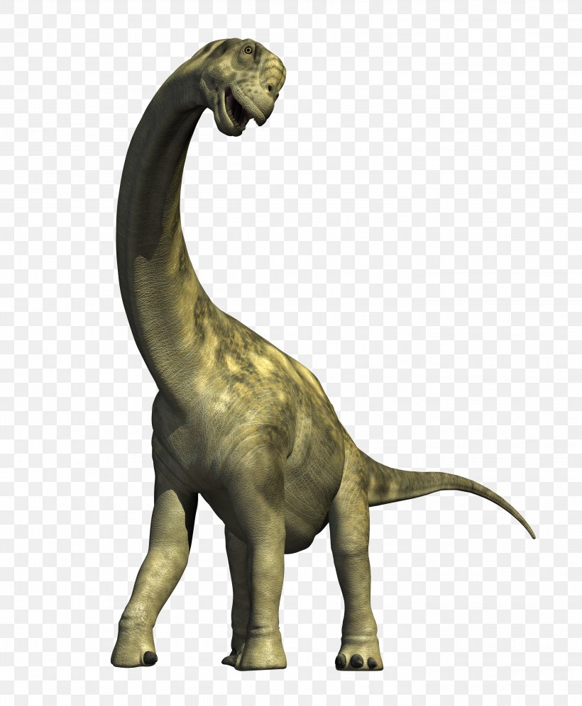 Camarasaurus Apatosaurus Diplodocus Dinosaur Compsognathus, PNG, 2824x3431px, Triceratops, Camarasaurus, Diamantinasaurus, Dinosaur, Diplodocus Download Free