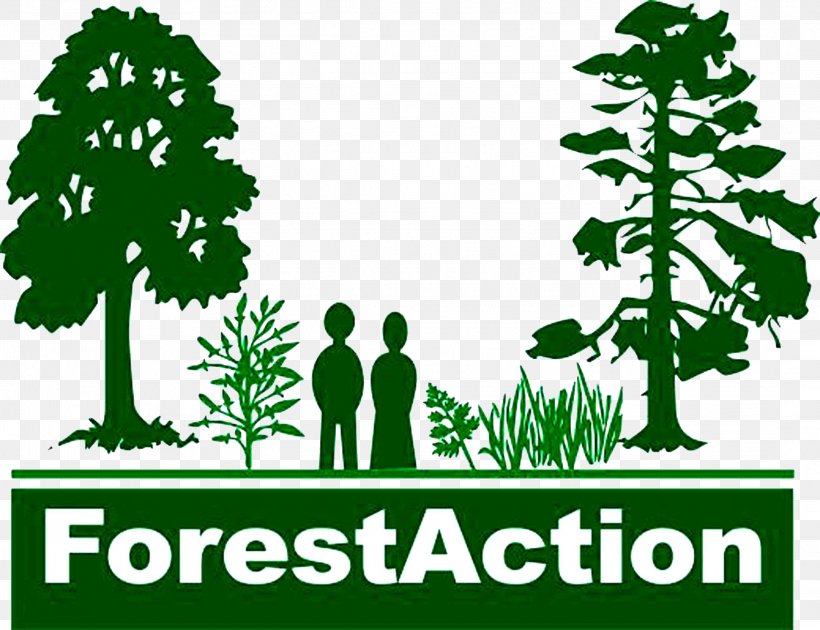 Forestaction Nepal Forestry Sustainable Forest Management, PNG, 2167x1667px, Forest, Branch, Brand, Community Forestry, Deforestation Download Free