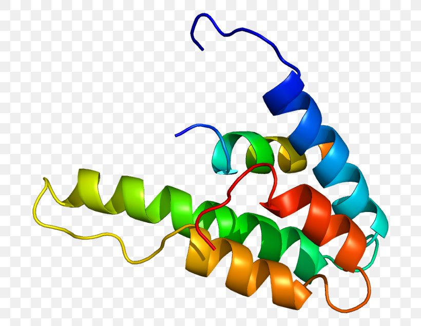 SIN3A Zinc Finger And BTB Domain-containing Protein 16 Gene Amphiphile, PNG, 744x635px, Watercolor, Cartoon, Flower, Frame, Heart Download Free