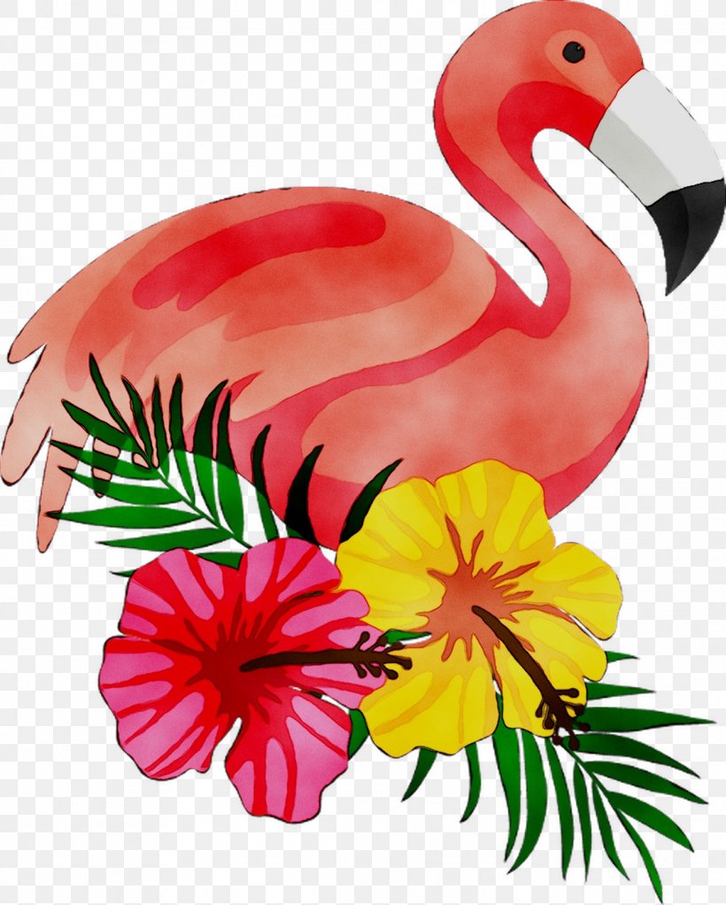 Vest Bellas Video Image Shopping Newmall Shopping Centre, PNG, 1116x1392px, Video, Bird, Flamingo, Greater Flamingo, Hashtag Download Free