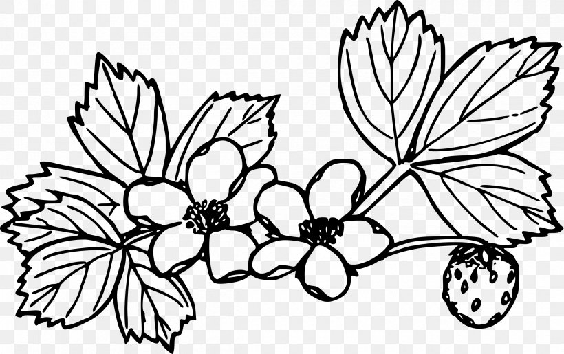 Wild Strawberry Coloring Book Clip Art, PNG, 2400x1508px, Wild Strawberry, Amorodo, Art, Artwork, Black And White Download Free