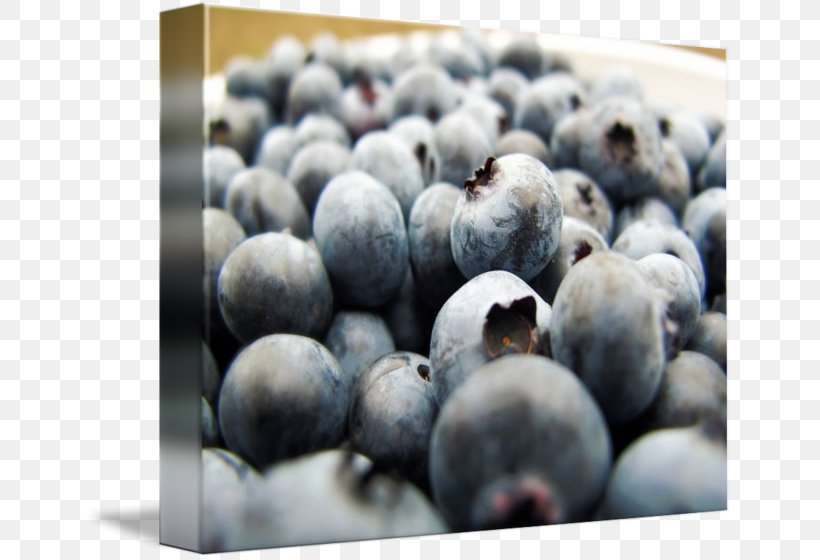 Blueberry Bilberry Superfood Prune, PNG, 650x560px, Blueberry, Berry, Bilberry, Food, Fruit Download Free