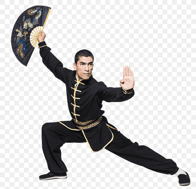 Chinese Martial Arts Mandarin Chinese Tai Chi Wushu, PNG, 800x789px, Chinese Martial Arts, Chinese, Hand Fan, Kung Fu, Kung Fu Term Download Free