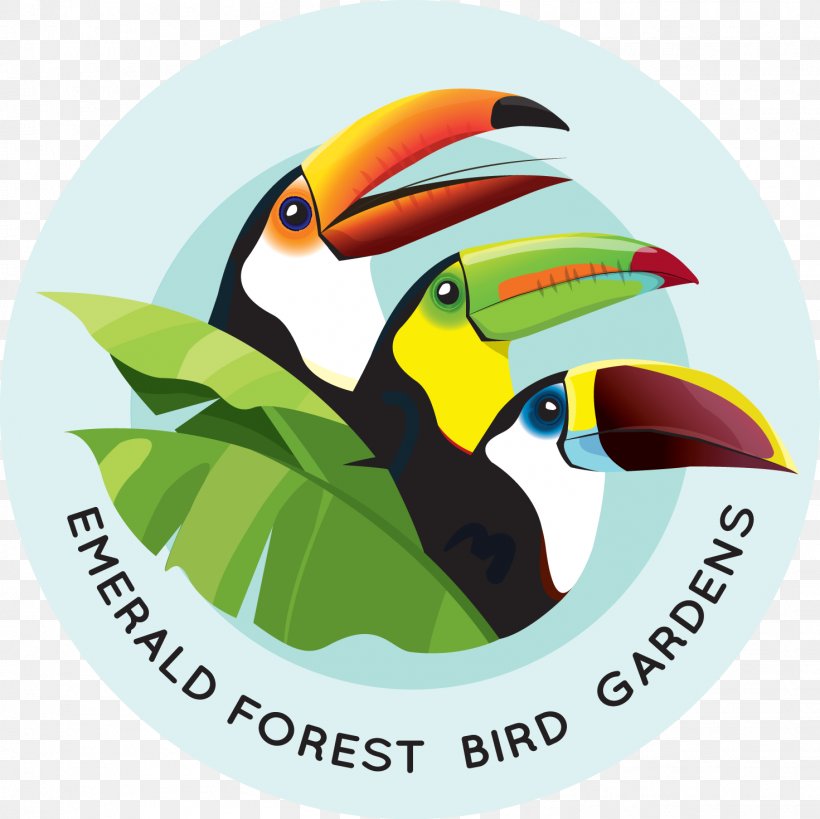 Emerald Forest Bird Gardens Beak Aracari Animal, PNG, 1471x1470px, Bird, Advertising, Animal, Aracari, Beak Download Free