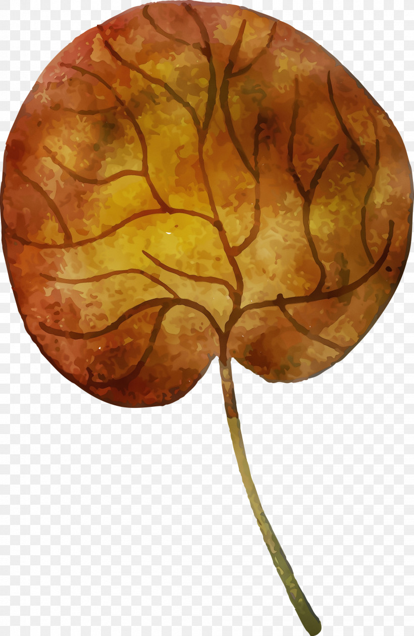 Pumpkin, PNG, 1952x3000px, Watercolor Autumn, Autumn, Autumn Element, Cherry, Color Download Free