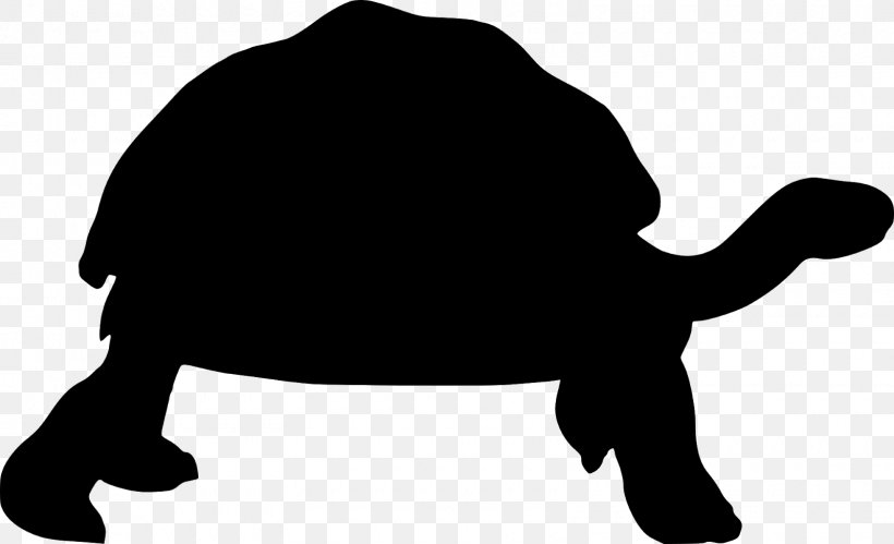 Sea Turtle Background, PNG, 1600x975px, Turtle, Blackandwhite, Box Turtle, Desert Tortoise, Gopher Tortoise Download Free