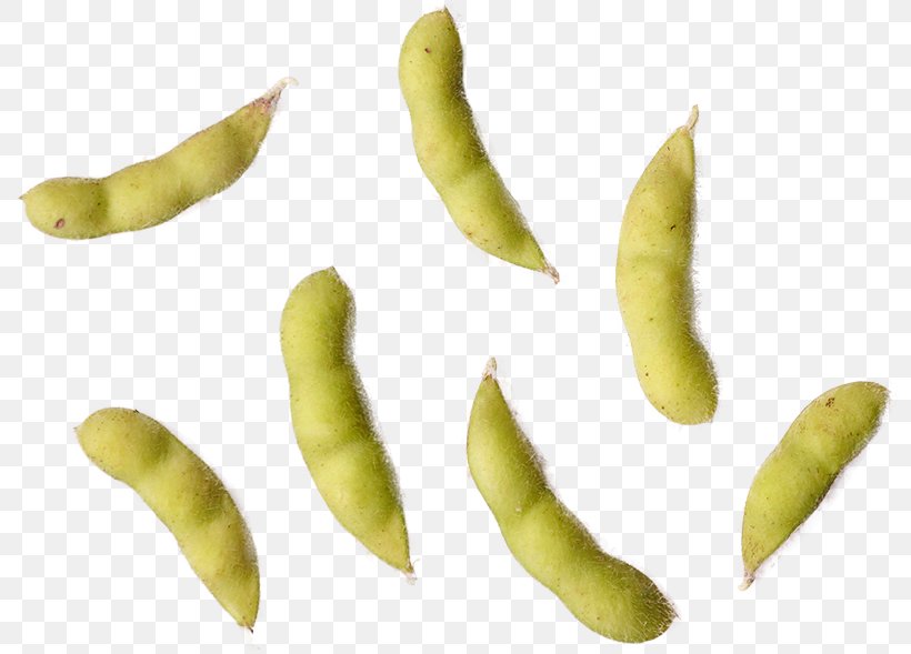 Broad Bean Fruit, PNG, 800x589px, Broad Bean, Commodity, Food, Fruit, Ingredient Download Free