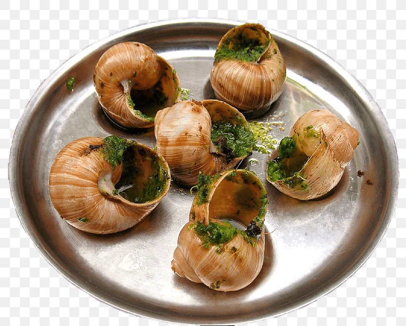 Escargot French Cuisine Greek Cuisine Snail Food, PNG, 800x658px, Escargot, Burgundy Snail, Cooking, Cuisine, Delicacy Download Free