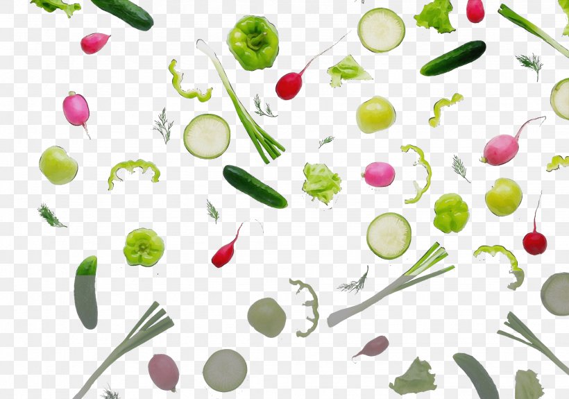 Potato Cartoon, PNG, 2048x1438px, Vegetable, Bell Pepper, Clausena Lansium, Cucumber, Flower Download Free