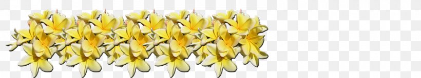 Red Frangipani Plants Plumeria Alba Image Exotic Plumeria, PNG, 1600x300px, Red Frangipani, Commodity, Cutting, Exotic Plumeria, Flower Download Free