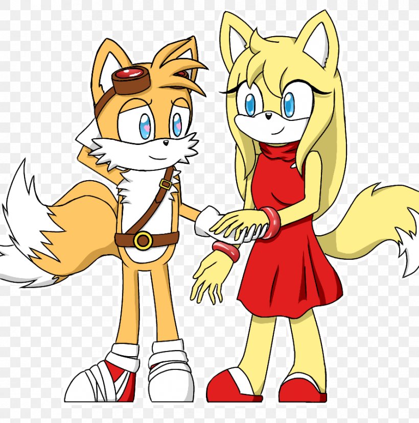 Tails Sonic Chaos Sonic The Hedgehog Amy Rose Sonic Heroes, PNG, 889x899px, Watercolor, Cartoon, Flower, Frame, Heart Download Free