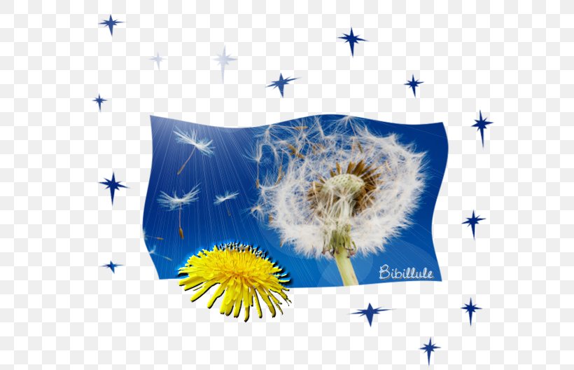 Dandelion Pissenlit Television Legend Desktop Wallpaper, PNG, 600x528px, Dandelion, Blue, Child, Computer, Energy Download Free