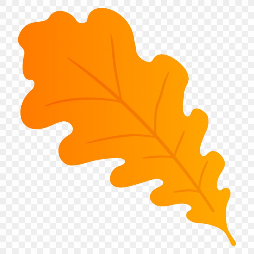 Oak Leaf Autumn Leaf Fall Leaf, PNG, 1200x1200px, Oak Leaf, Autumn, Autumn Leaf, Fall Leaf, Leaf Download Free