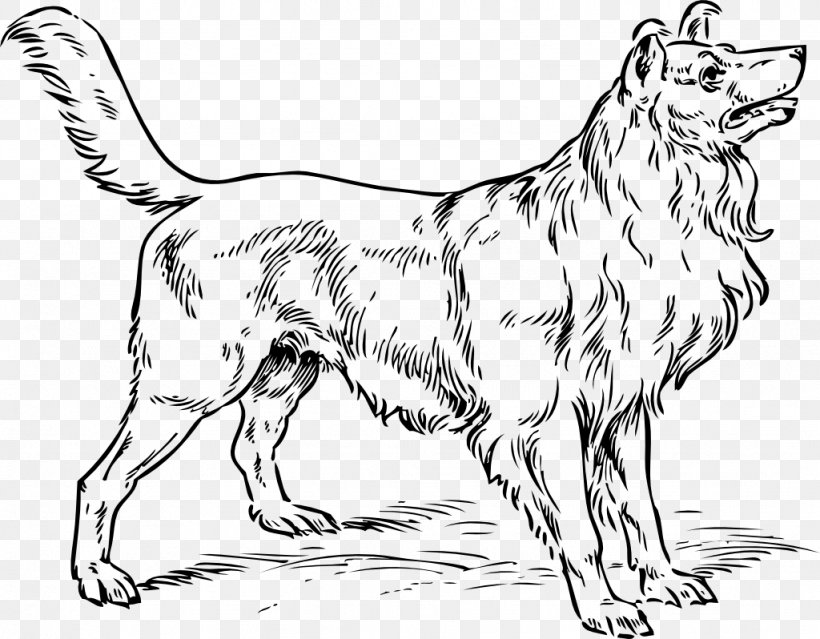 Rough Collie Longdog Border Collie Puppy Clip Art, PNG, 1024x798px, Rough Collie, Animal Figure, Artwork, Bark, Black And White Download Free