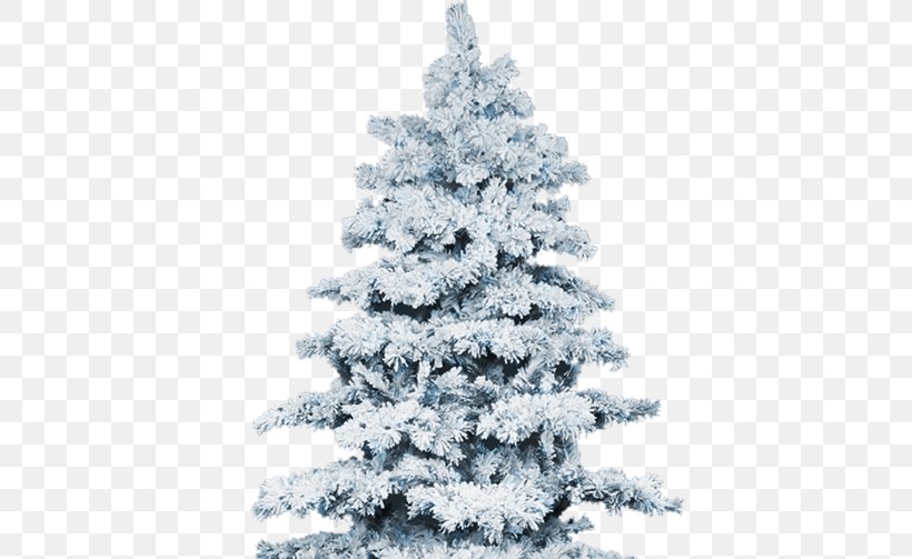 Snow Christmas Tree Winter Pine, PNG, 552x503px, Snow, Abies Alba, Abies Magnifica, Christmas, Christmas Decoration Download Free