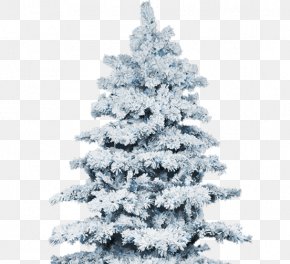 Snow Tree Winter Pine, PNG, 939x1574px, Snow, Christmas, Christmas ...