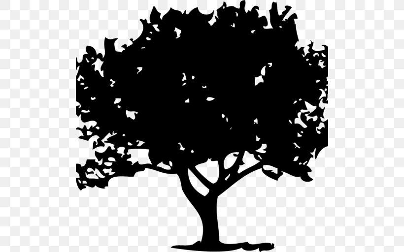 Tree Deciduous Drawing, PNG, 512x512px, Tree, Art, Black And White, Branch, Deciduous Download Free