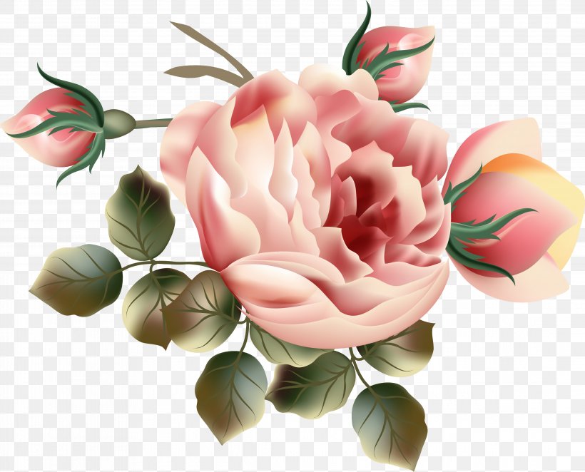 Flower Garden Roses Floral Design Clip Art, PNG, 4347x3512px, Flower, Artificial Flower, Blue Rose, Centifolia Roses, Cut Flowers Download Free