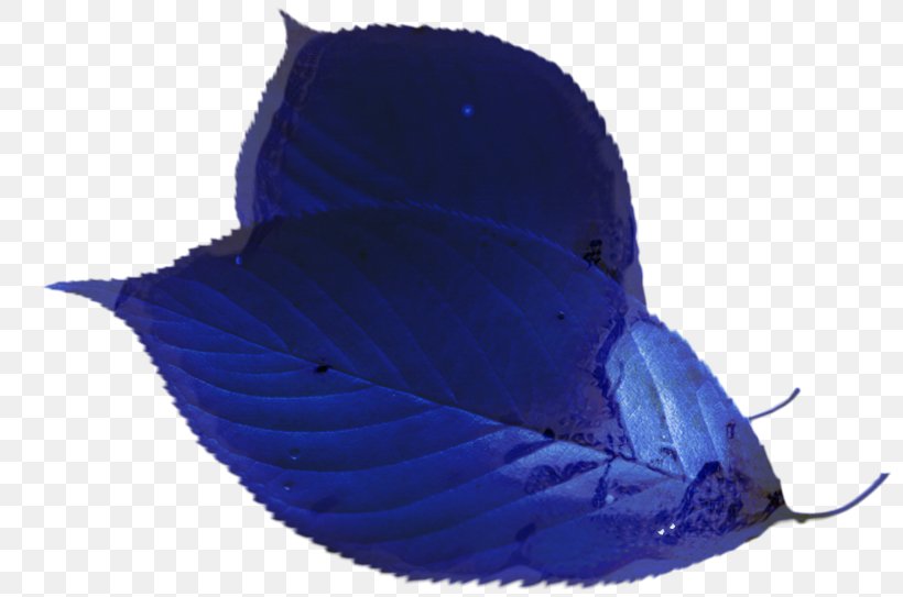 Hat Cartoon, PNG, 798x543px, Cobalt Blue, Blue, Cap, Cobalt, Costume Accessory Download Free