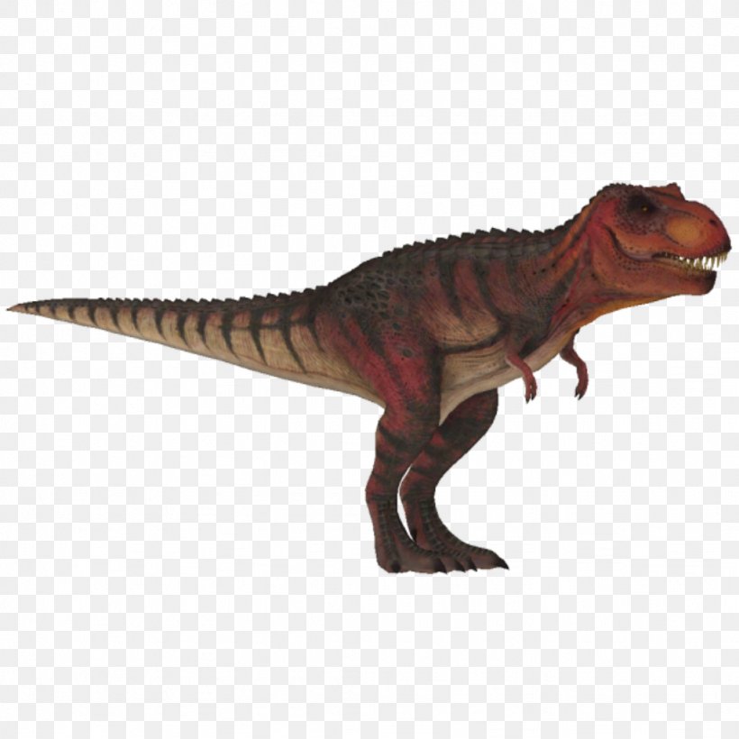 Tyrannosaurus Primal Carnage: Extinction Dinosaur Zoo Tycoon 2, PNG, 1024x1024px, Tyrannosaurus, Animal, Animal Figure, Australian Wood Duck, Dinosaur Download Free
