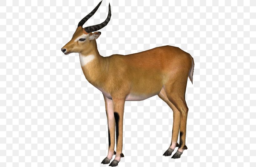 Zoo Tycoon 2 Waterbuck Impala Kob Antelope, PNG, 535x535px, Zoo Tycoon 2, Animal, Antelope, Cow Goat Family, Deer Download Free